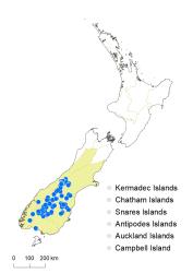 Veronica buchananii distribution map based on databased records at AK, CHR & WELT.
 Image: K.Boardman © Landcare Research 2022 CC-BY 4.0